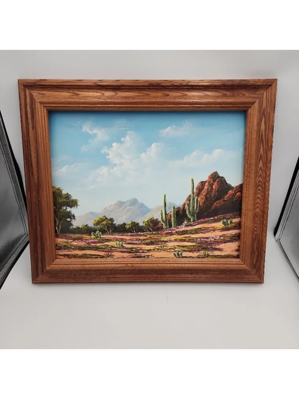 Original Oil Painting Summer Mountain Landscape with Cactus Signed Art 15x18